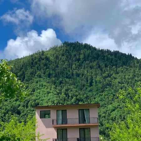 Green Mountain Borjomi Exterior photo