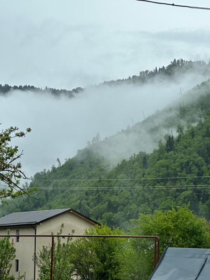 Mountain *